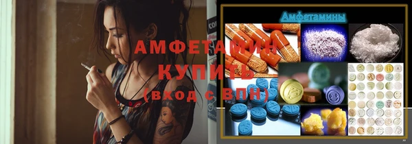 гашик Заводоуковск