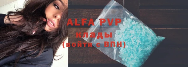 кокс Щигры