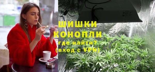 гашик Заводоуковск