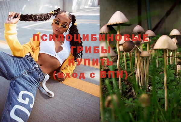 гашик Заводоуковск