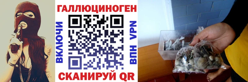 купить наркоту  Сасово  Псилоцибиновые грибы мухоморы 